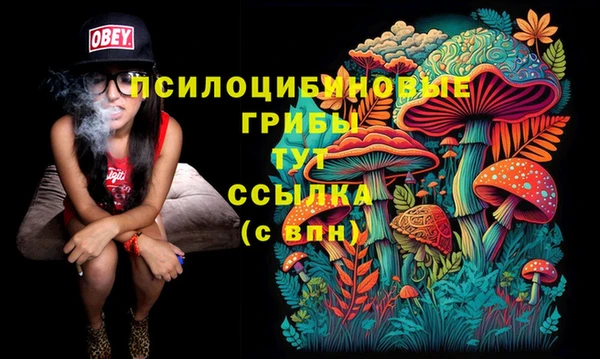 сатива Балахна