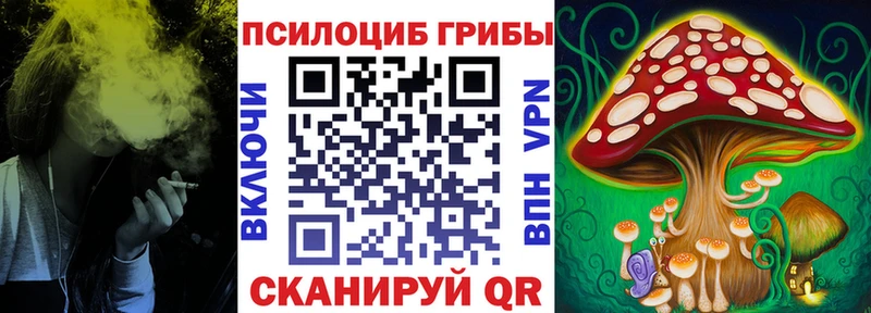как найти   Славянск-на-Кубани  Галлюциногенные грибы мухоморы 